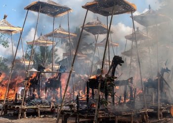 दिल्ली नगर निगम ने 1 महीने में कोरोना प्रोटोकॉल के तहत 14000 लाशों का किया अंतिम संस्कार