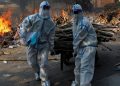 India records highest number of covid deaths in a single day in last 24 hours