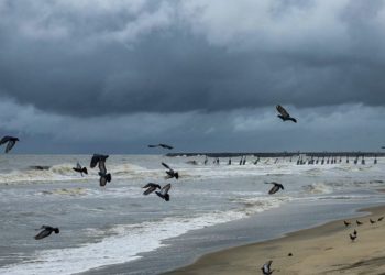 Cyclone Tauktae: The National Disaster Relief Force has doubled its number of teams to 100