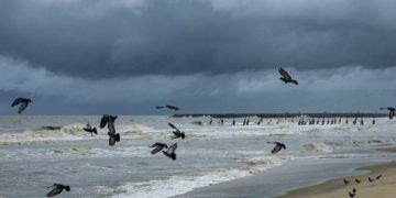 Cyclone Tauktae: The National Disaster Relief Force has doubled its number of teams to 100