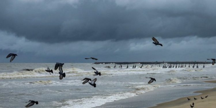 Cyclone Tauktae: The National Disaster Relief Force has doubled its number of teams to 100