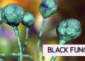 Black Fungus spreading rapidly in Maharashtra