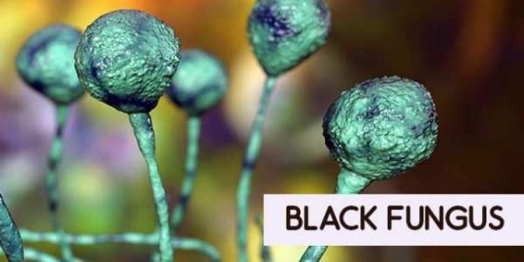 Black Fungus spreading rapidly in Maharashtra