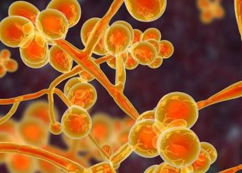 First case of yellow fungus reported in Ghaziabad, Uttar Pradesh