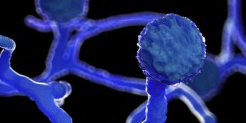 PM Modi assures 5.7 L mucormycosis drug vials will be available in June