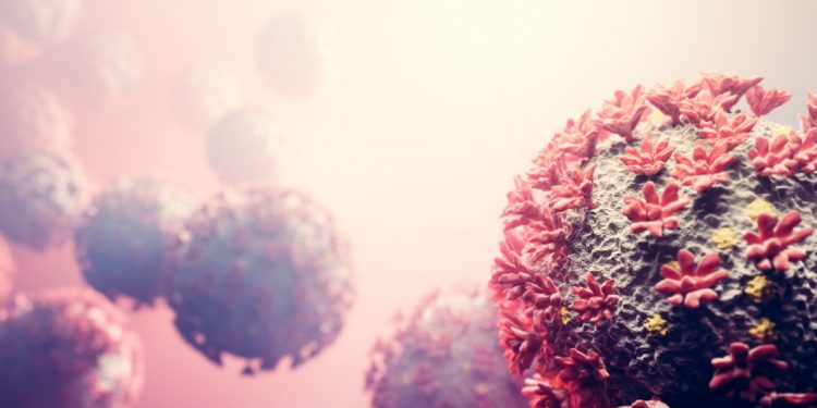 UK variant is  dominating north India states NCDC