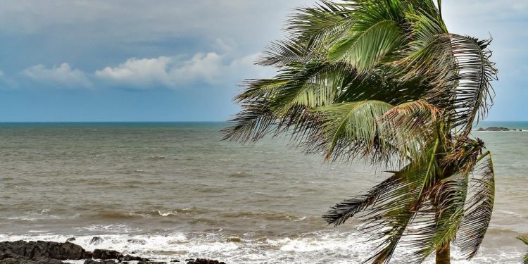 Southwest monsoon makes onset over Kerala: Met Department