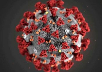 Corona virus live update