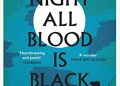 David doip’s “At night all blood is black” book bangs the international booker award.