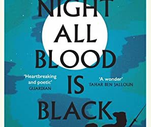 David doip’s “At night all blood is black” book bangs the international booker award.