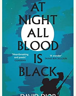 David doip’s “At night all blood is black” book bangs the international booker award.
