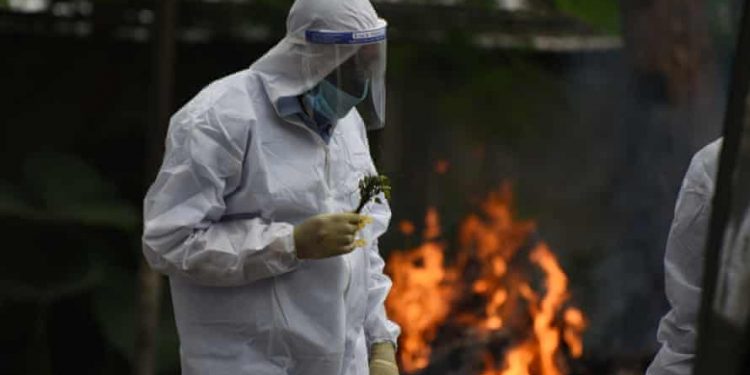 Death Tolls Of Doctors Counts To 719, Major Numbers in Bihar