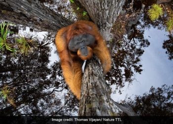 Kerala man wins the Nature TTL Photography awards.