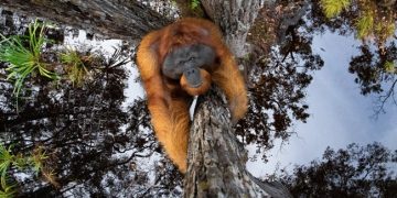 Kerala man wins the Nature TTL Photography awards.