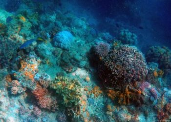Project To Explore Deep Ocean For Resource , approves centre.