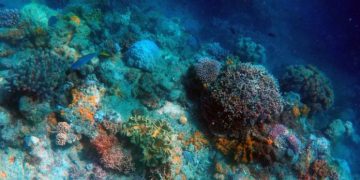 Project To Explore Deep Ocean For Resource , approves centre.