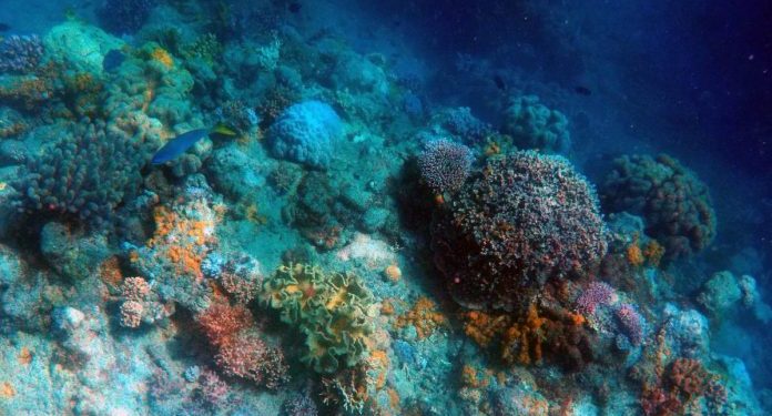 Project To Explore Deep Ocean For Resource , approves centre.
