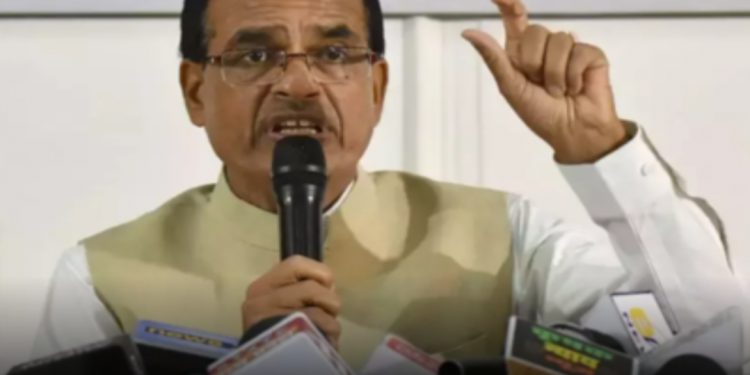 “CM urged to plant trees”