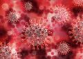 Coronavirus Traces Found In Gujarat’s Sabarmati River, 2 Lakes: IIT study.