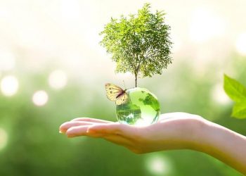 पर्यावरण असंतुलन व जलवायु परिवर्तन की पारिस्थितिकी तंत्र की बहाली के सार्थक उपाय