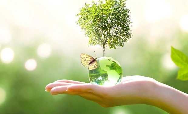 पर्यावरण असंतुलन व जलवायु परिवर्तन की पारिस्थितिकी तंत्र की बहाली के सार्थक उपाय