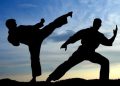 Martial-Arts: The Art of Survival of The Fittest