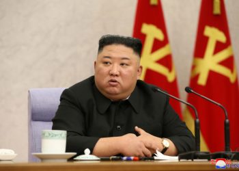 “Yet to find a single case of Covid-19”: North Korea tells WHO.