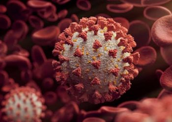 Lambda Variant: Everything You Need To Know About This Strain