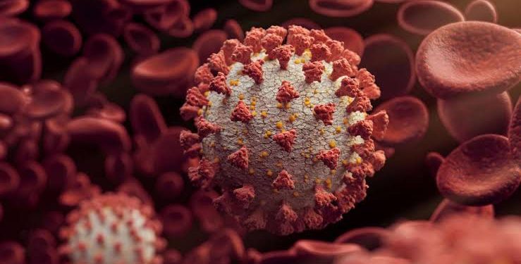 Lambda Variant: Everything You Need To Know About This Strain