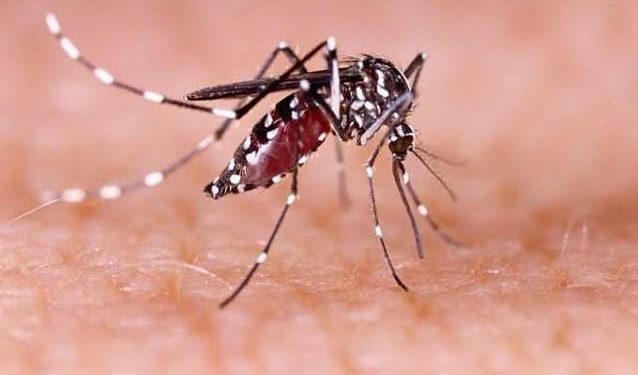 19 Zika Virus Cases Reported In Kerala