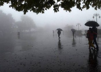 164 Found Dead Due To Maharashtra Heavy Downpour
