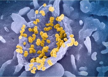 Lambda Variant Can Be More Dangerous Than Delta Variant