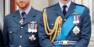 Prince William and Harry Reunite for Diana Statue Tribute.