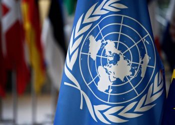 India to establish the right to be a permanent member of the UN Security Council : Foreign Secretary.