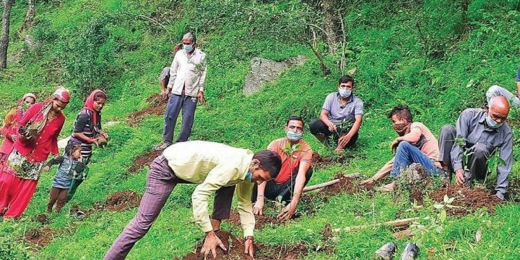 Uttarakhand Villagers Dedicated Forests To Local Deity As A Way Of Conserving Forests
