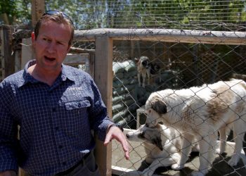 British Ex-Marine With 200 Animals Survived Kabul Attack