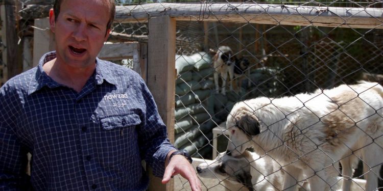 British Ex-Marine With 200 Animals Survived Kabul Attack