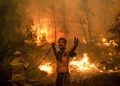 Over 100,000 Hectares burned as Greece faces an “Ecological Disaster” from wildfire .