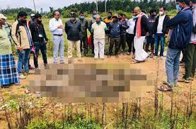 Seven accused behind the killing of 36 monkeys were arrested in Hassan.