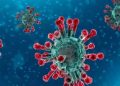 New Variant C.1.2 May Be More Infectious, Evade Vaccine Protection: Study