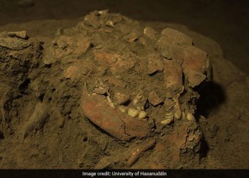 New Human Lineage Discovered From DNA Of Girl Who Died 7,200 Years Ago