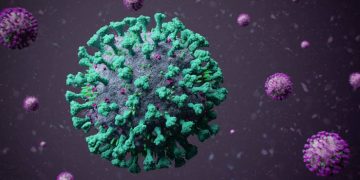 India reports less than 30,000 new infections and 291 fatalities in 24 hours, despite a drop in COVID-19 cases