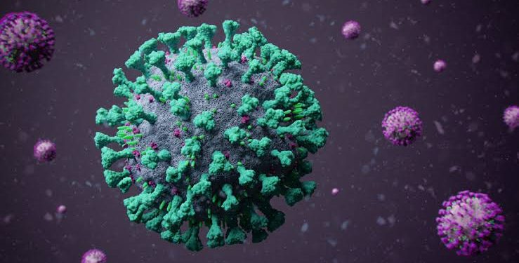 India reports less than 30,000 new infections and 291 fatalities in 24 hours, despite a drop in COVID-19 cases