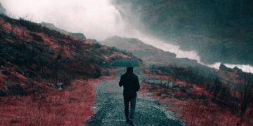 Uttarakhand news: Stay on high alert for heavy rainfall, CM Pushkar Singh Dhami directs police, SDRF