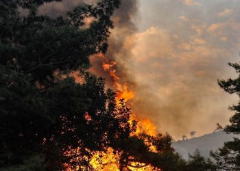 Forest Fire Alerts in Jammu and Kashmir, Rage in Udhampur Area