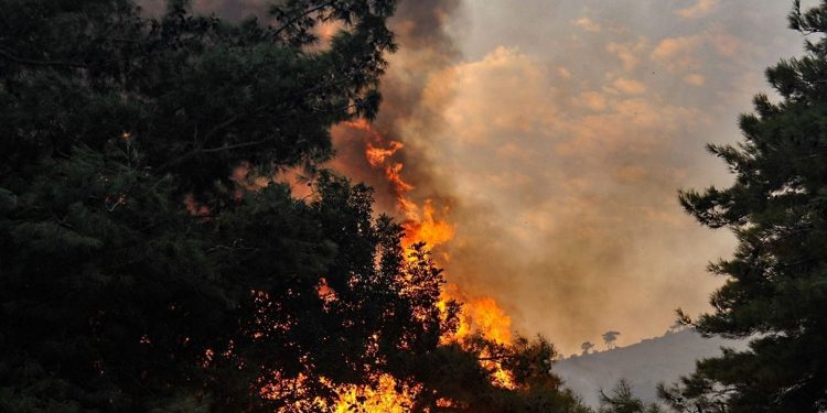 Forest Fire Alerts in Jammu and Kashmir, Rage in Udhampur Area