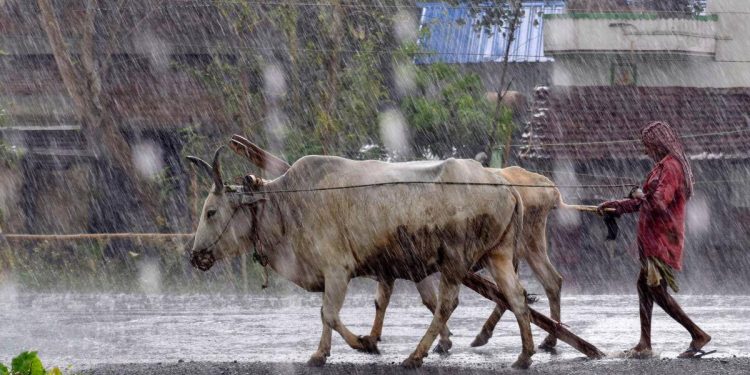 Cyclone Asani: Storm is unlikely to make touchdown and is expected to weaken during the next 24 hours