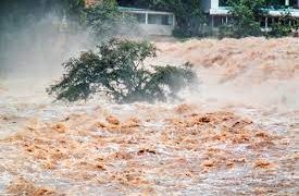 Relief Efforts Underway as Nainital’s Ramgarh Battles Heavy Rainfall