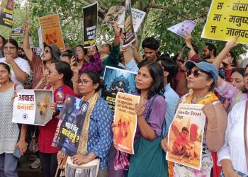 Animal Lovers, Activists Unite in Lucknow Against SC Order