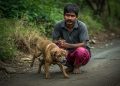 Supreme Court Begins Detailed Hearing on Stray Dog Crisis in Delhi-NCR